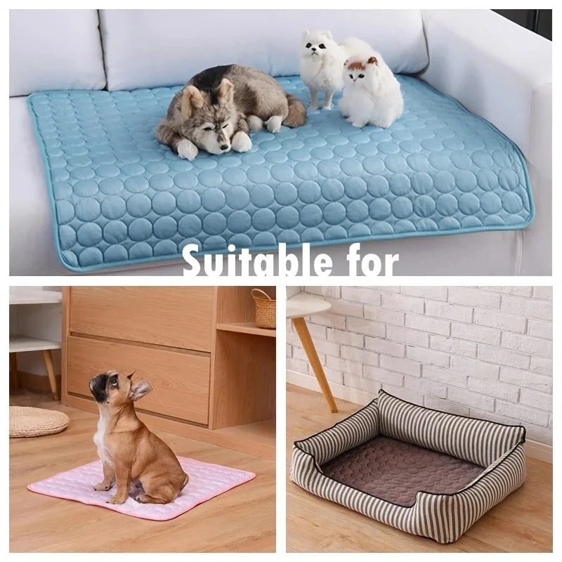 Tapis rafraichissant pour chien