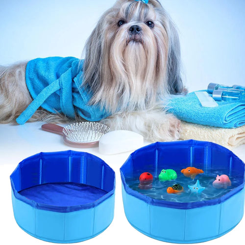Piscine pour chien