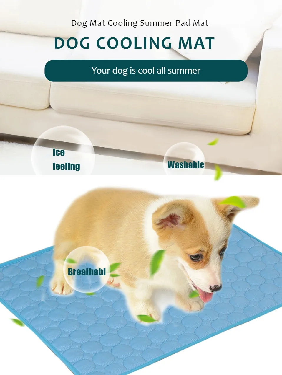 Tapis rafraichissant pour chien